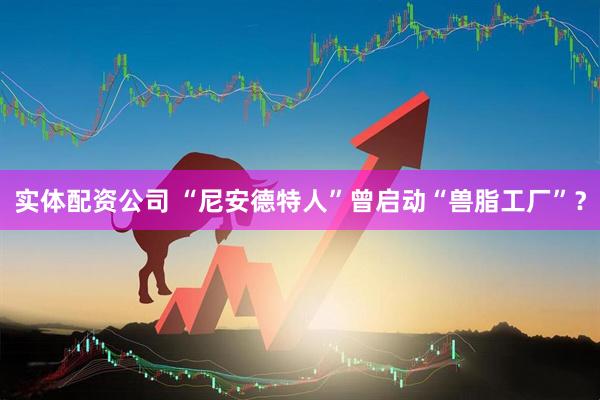 实体配资公司 “尼安德特人”曾启动“兽脂工厂”？