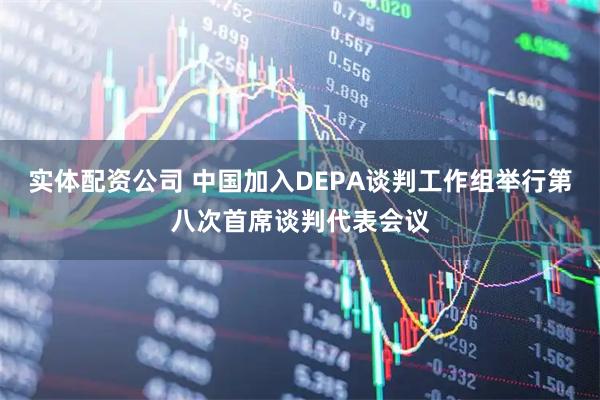 实体配资公司 中国加入DEPA谈判工作组举行第八次首席谈判代表会议